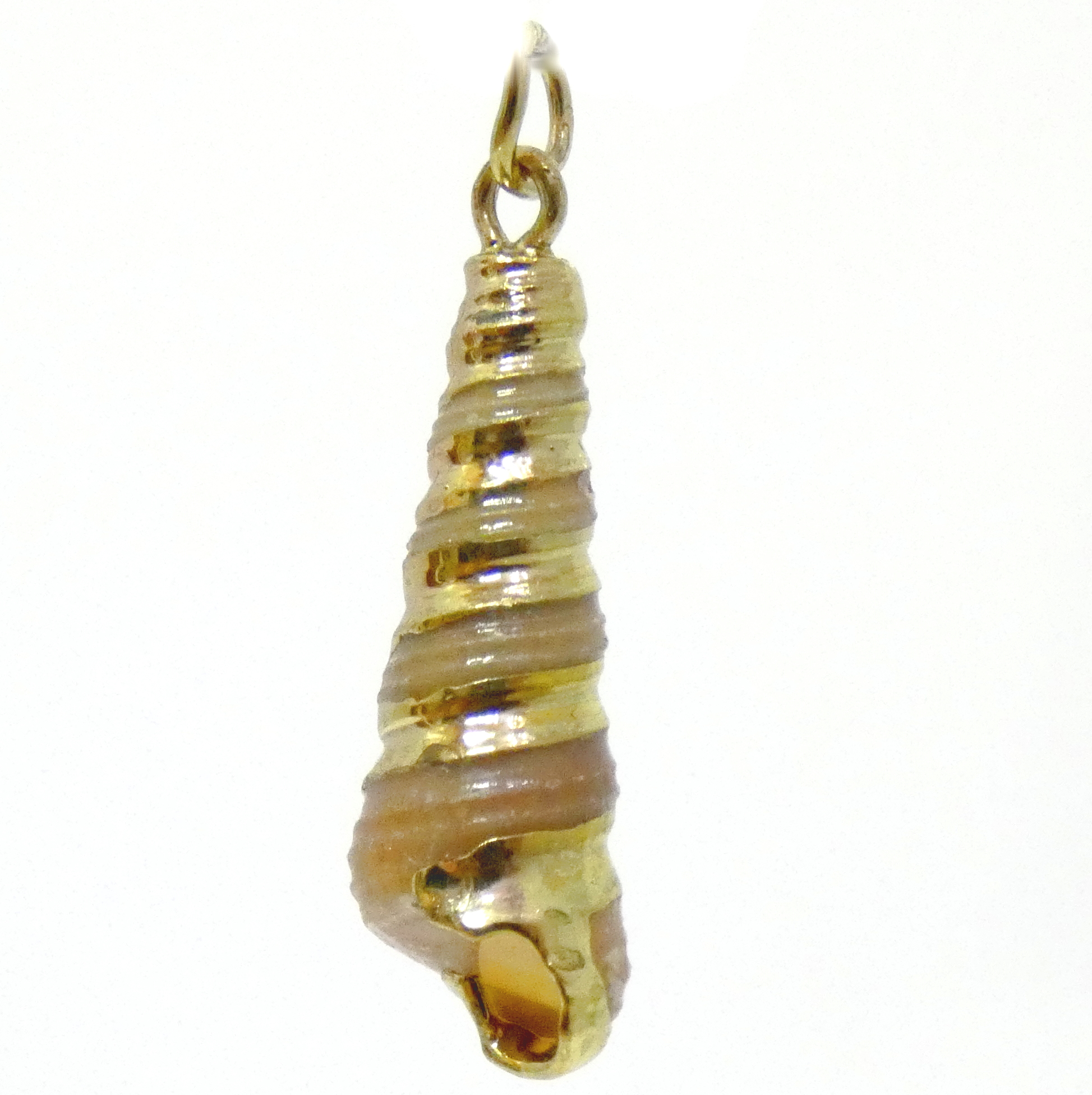Brown Spiral Shell with Gold